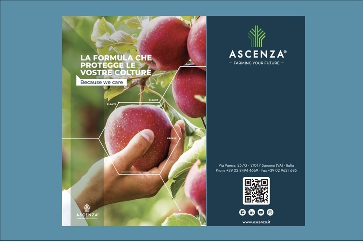 Disponibile sul sito di Ascenza Italia il catalogo 2025