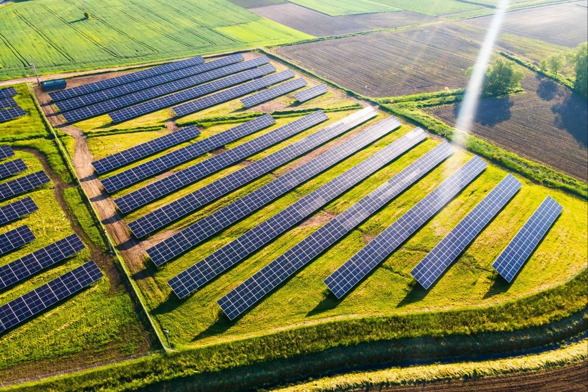 Agrivoltaico: sostenibilità ambientale e tecnica