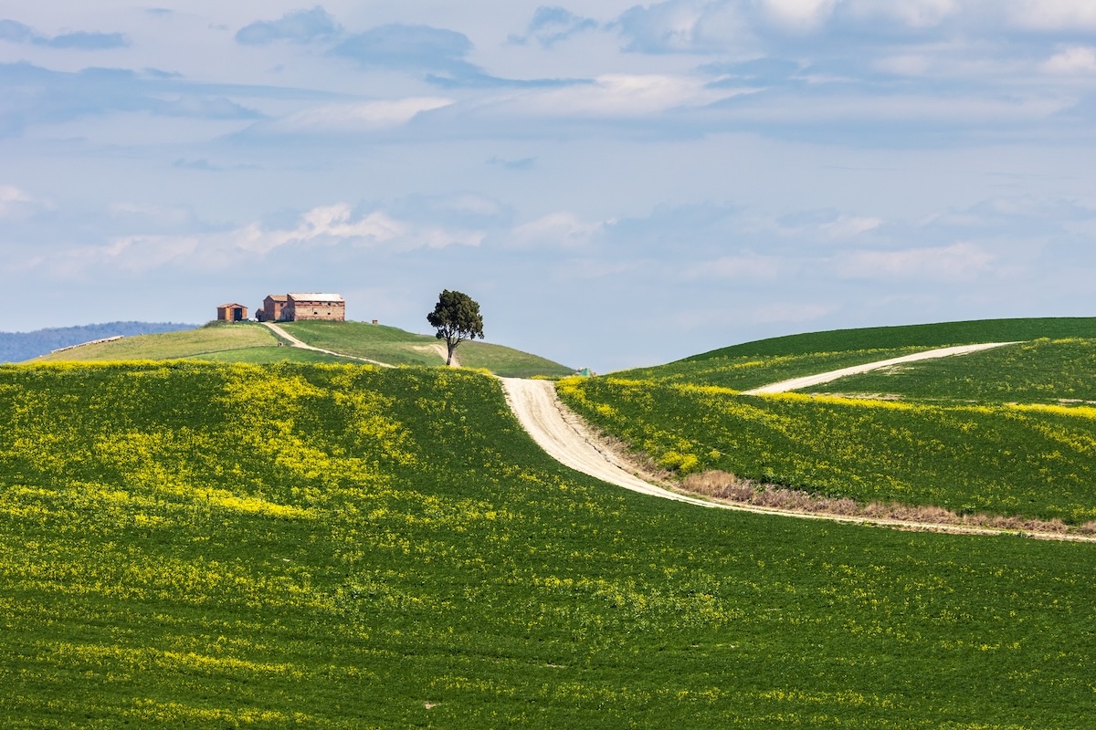 Uno scorcio di campagna toscana (Foto di archivio)